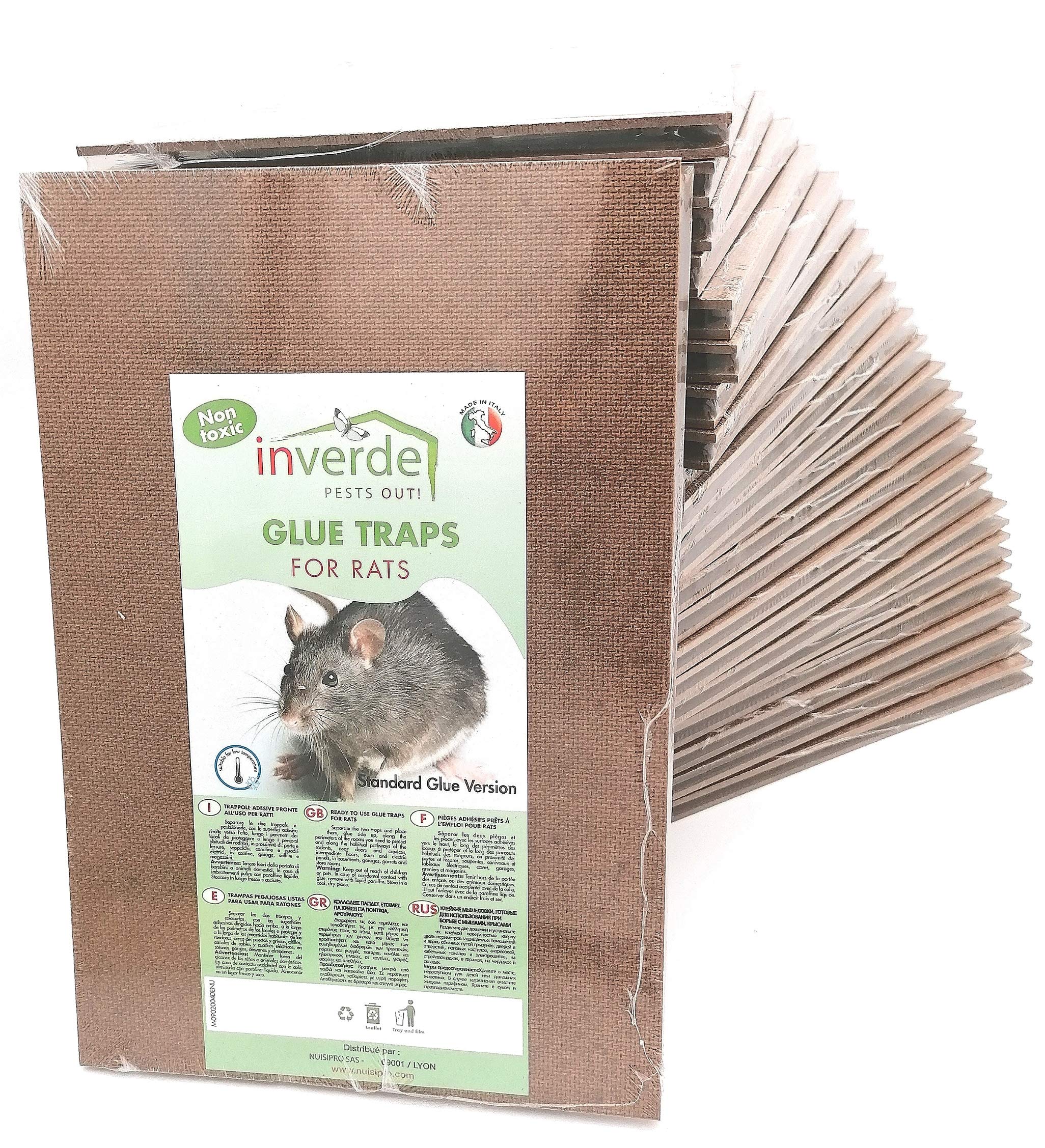 plaque glu bois anti rats